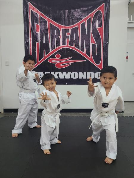 Farfan's Taekwondo