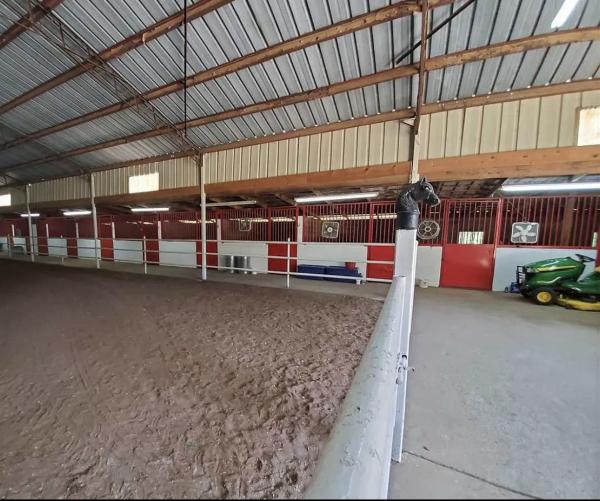 Mountain View Stables
