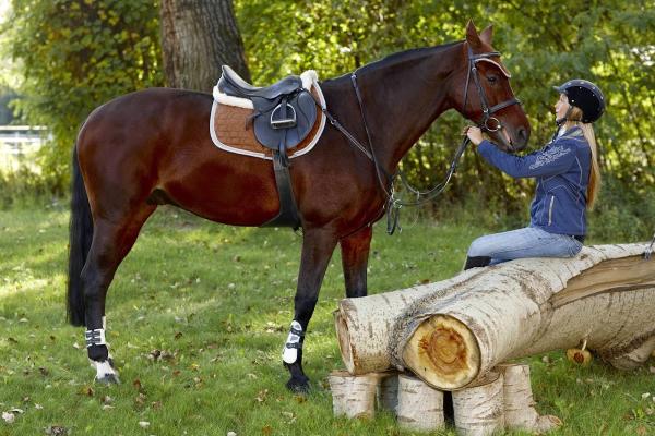 Southern Breeze Equestrian Center