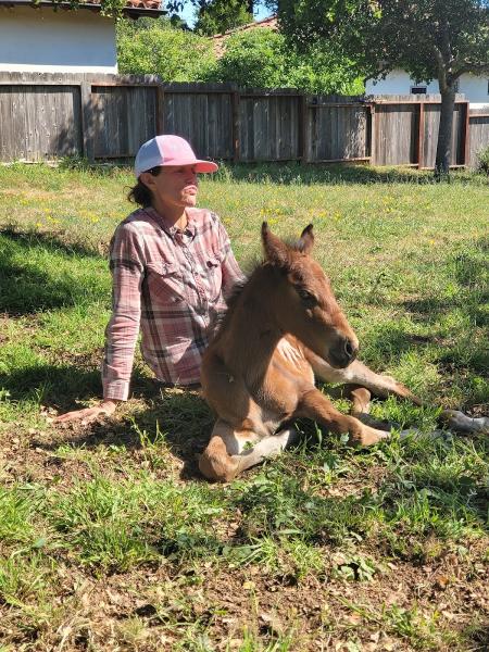 Horse Feathers Training and Riding Academy