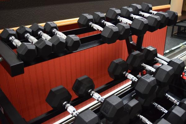 Elevate Fitness and Performance Training
