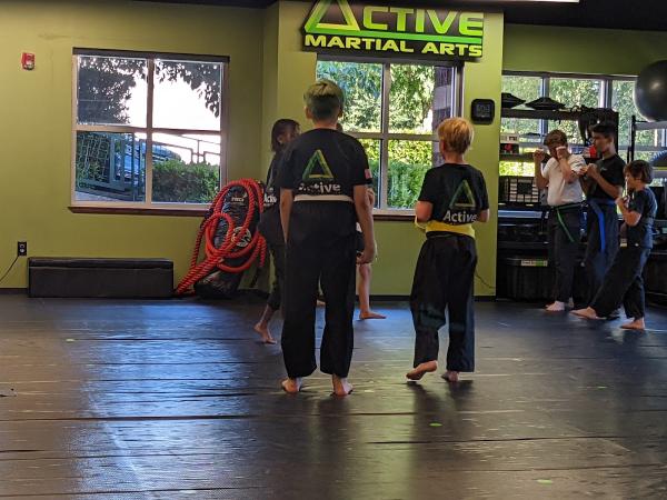 Active Martial Arts