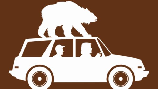 Bear Driving School LLC