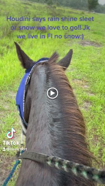 Lake Louisa State Park Guided Trail Rides