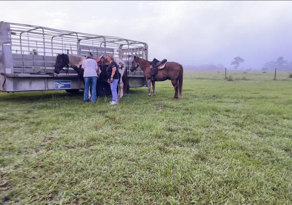 Wagon Wheel Horse Farm