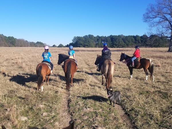 Winter's Western Riding