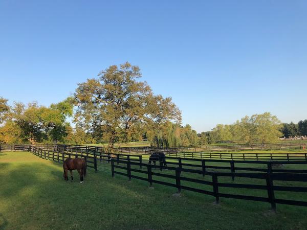 Grand Oaks Farm