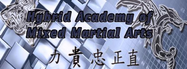 Hybrid Academy of Mixed Martial Arts