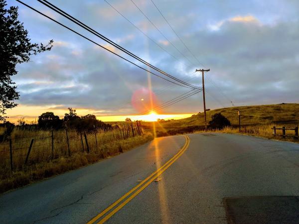 Portola Pastures Inc