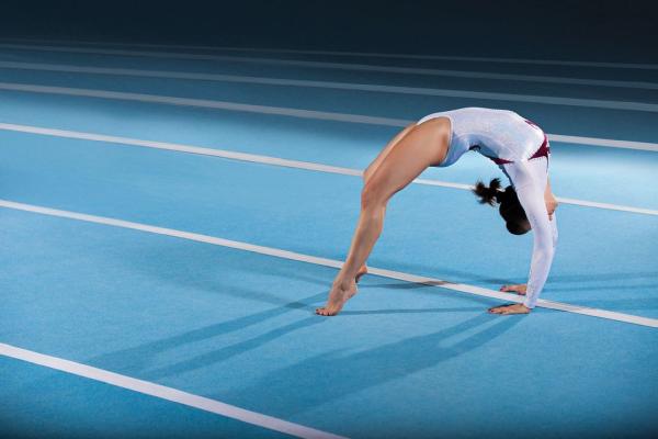 Palaestra Gymnastics Academy