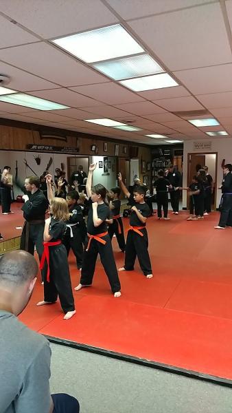 Powell's Way of Kenpo