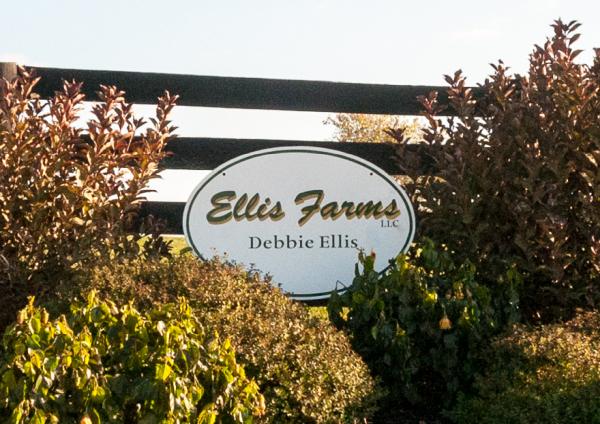 Debbie Ellis Farms