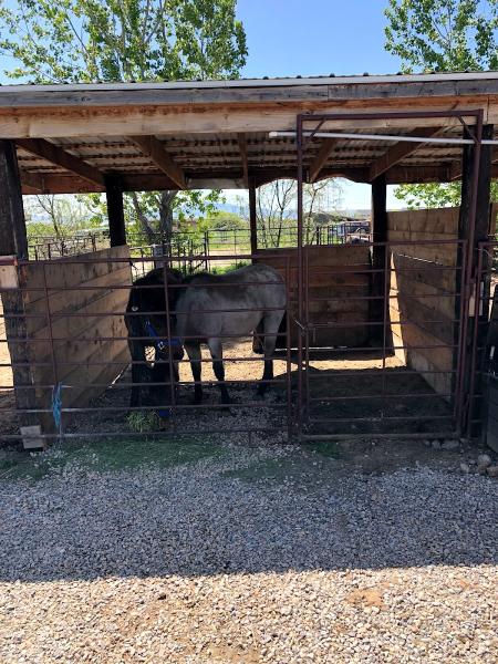 Kaysville Horse Boarding