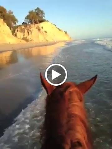 Santa Barbara Beach Horseback Rides