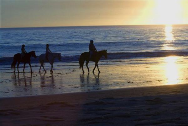 Santa Barbara Beach Horseback Rides