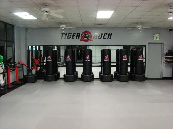 Tiger Rock Martial Arts of Northport/Tuscaloosa