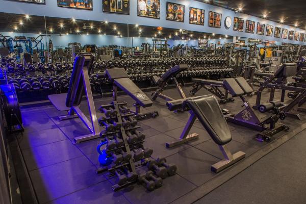 Designer Bodies 'world Class Gym'