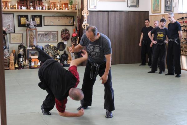 Bujinkan: Living-Warrior Dojo
