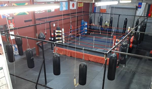 Hard Knocks Gym