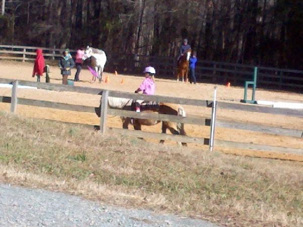Willow Oak Farm Riding School