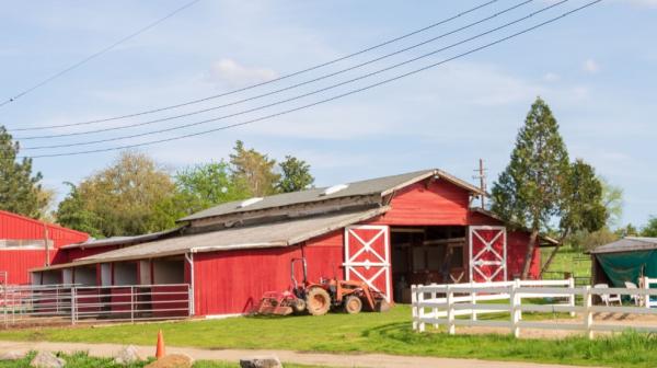 Far West Stables