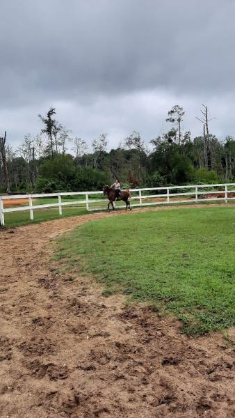 Felder Stables