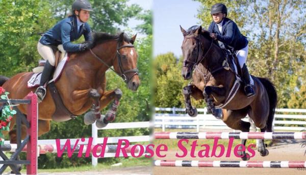 Wild Rose Stables