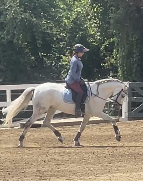 Kimberly Monk Dressage