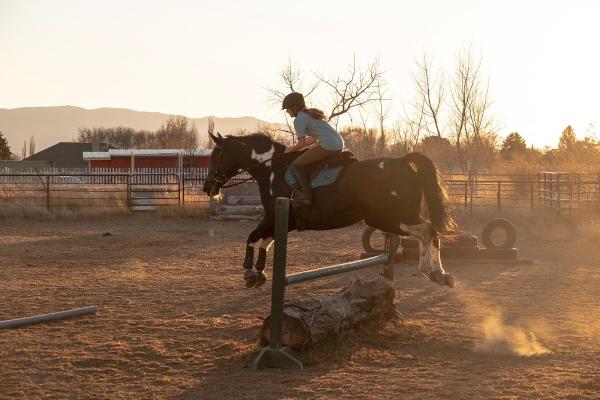 Southern Belle Riding