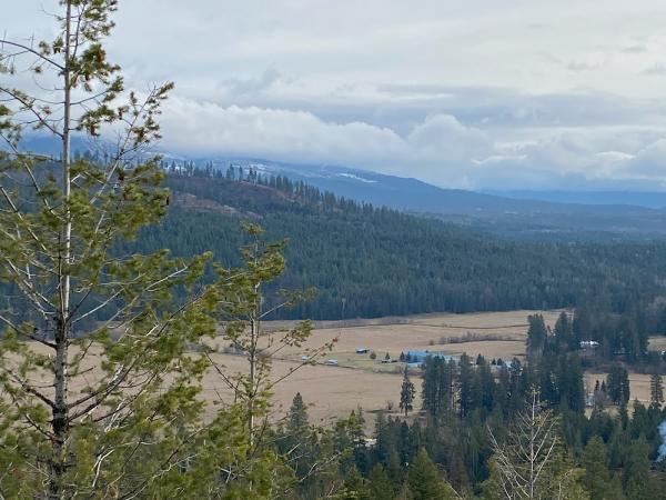 Cocolalla Creek Ranch