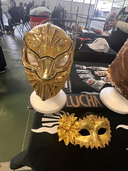 Lucha Libre Volcánica: School of Lucha Libre