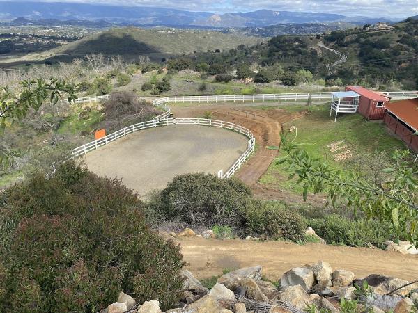 Wylde Horses Therapeutic Riding Facility