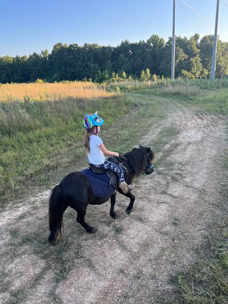 Kirsch Equestrian Center