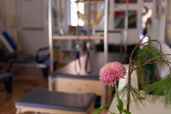 Fort Hunt Pilates