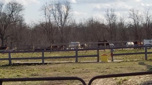 Winton Woods Riding Center