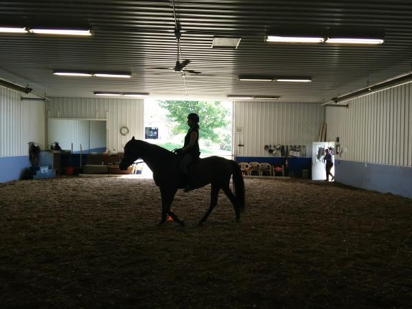 Equitation Station