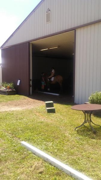 Equitation Station