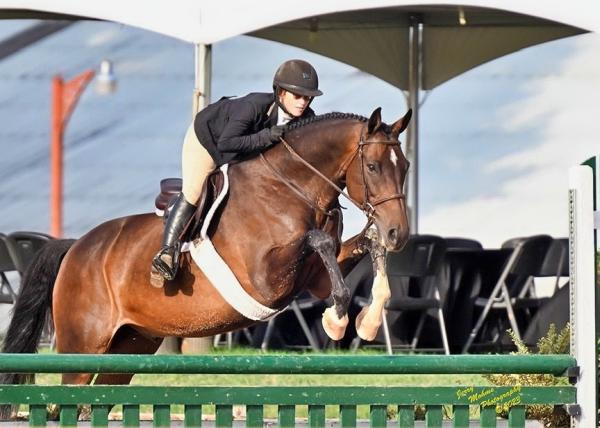 Texas Rose Horse Park