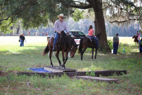 Well Balanced Horsemanship