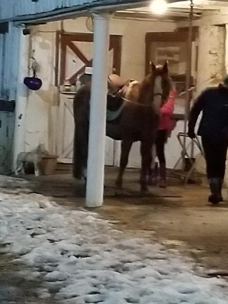 Courtesy Stable
