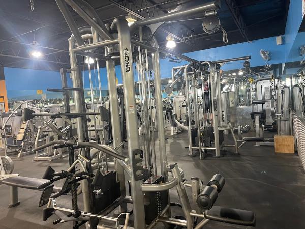 Hammerhead Gym (Cape Coral)