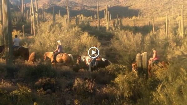 MTM Ranch Horseback Adventures