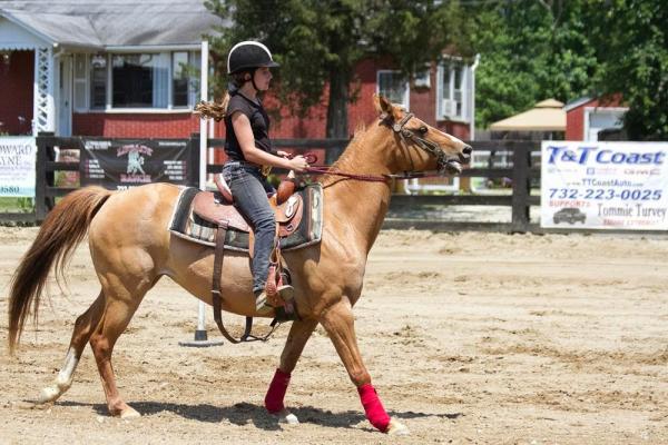 Painted Pony Riding Academy