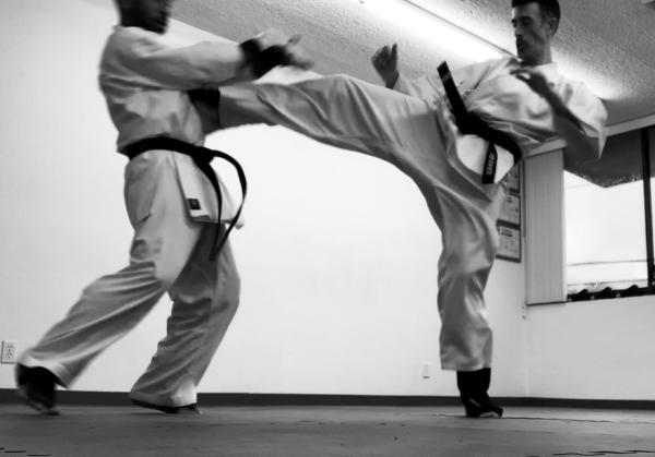 Aikara Kyokushin Karate