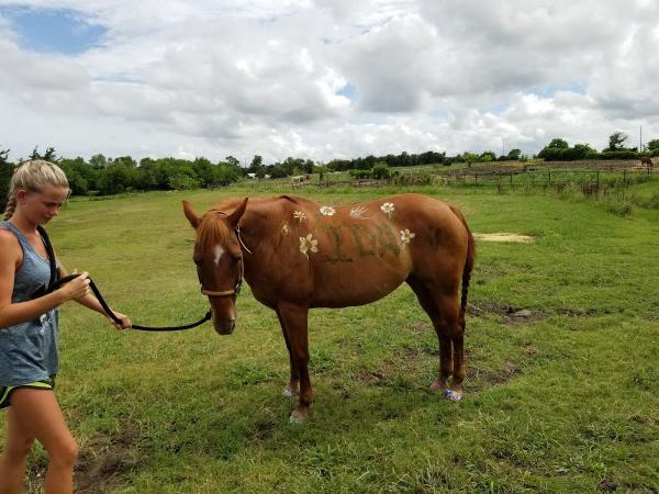 Heritage Hill Equestrian Center