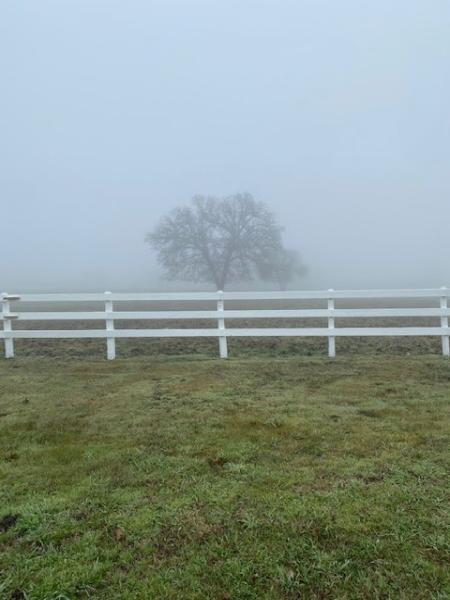 White Fences Equestrian Center