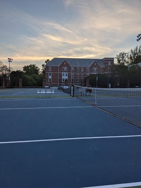 The Vern Tennis Center at GW