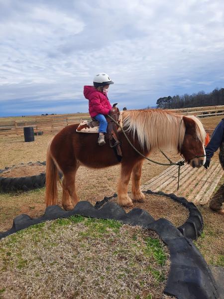 Oak Meadows Stables