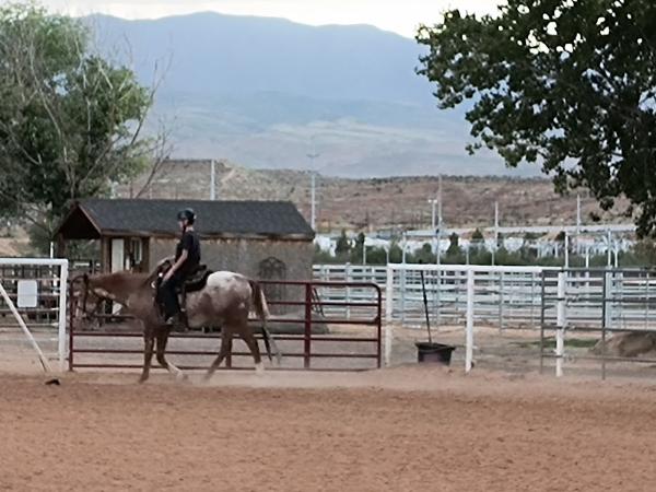 Reinmakers Equestrian Park