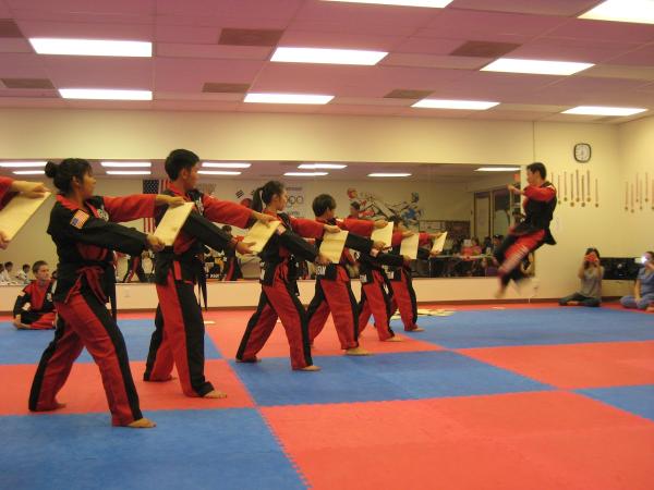 K Tiger Taekwondo Martial Arts